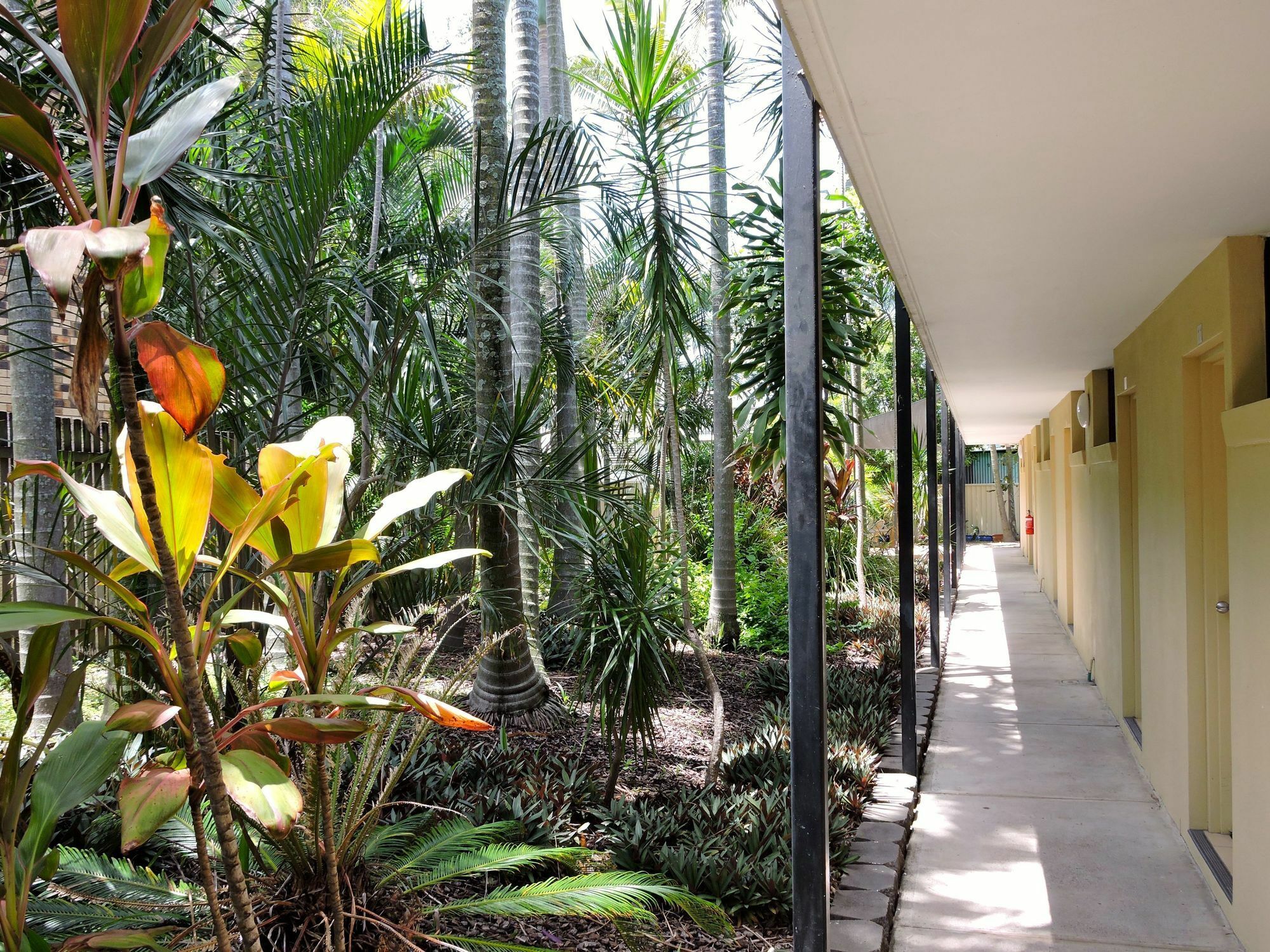 Best Western Airport 85 Motel Brisbane Exterior photo